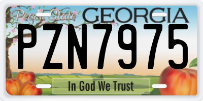 GA license plate PZN7975