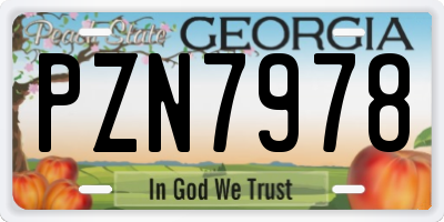 GA license plate PZN7978