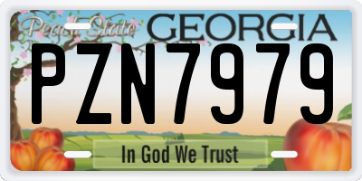 GA license plate PZN7979