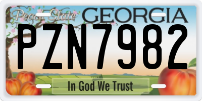 GA license plate PZN7982