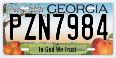 GA license plate PZN7984