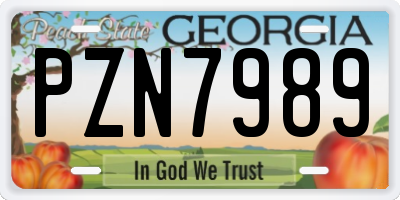 GA license plate PZN7989