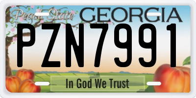 GA license plate PZN7991