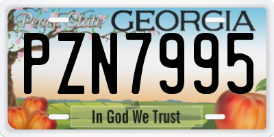 GA license plate PZN7995