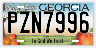 GA license plate PZN7996