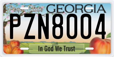 GA license plate PZN8004