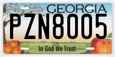 GA license plate PZN8005