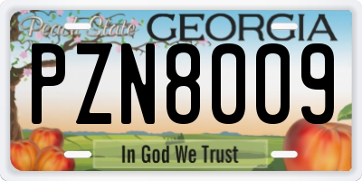 GA license plate PZN8009