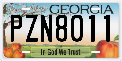 GA license plate PZN8011