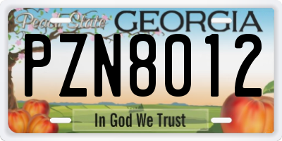 GA license plate PZN8012