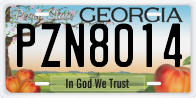 GA license plate PZN8014