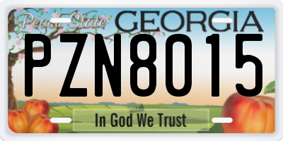 GA license plate PZN8015