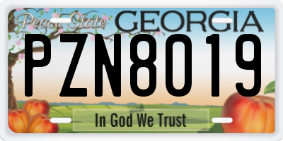 GA license plate PZN8019