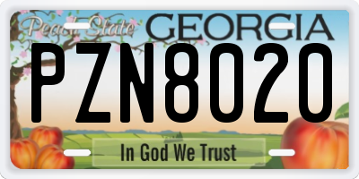 GA license plate PZN8020