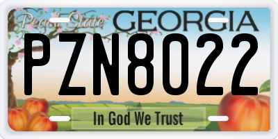 GA license plate PZN8022