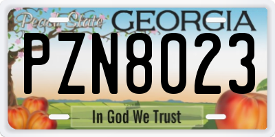 GA license plate PZN8023