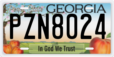 GA license plate PZN8024