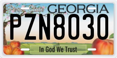 GA license plate PZN8030