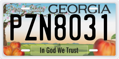 GA license plate PZN8031