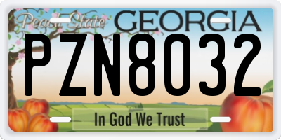 GA license plate PZN8032