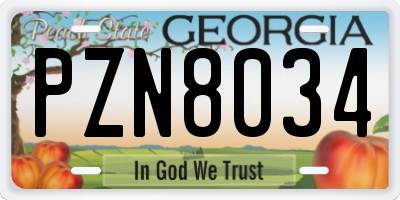GA license plate PZN8034