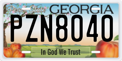 GA license plate PZN8040