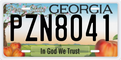 GA license plate PZN8041
