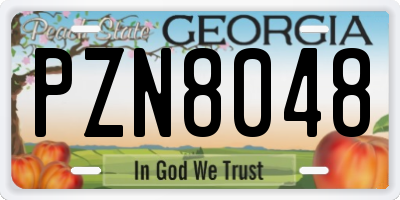 GA license plate PZN8048