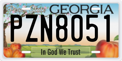 GA license plate PZN8051