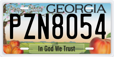 GA license plate PZN8054