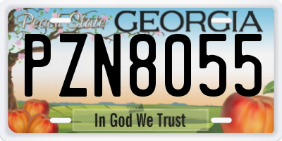 GA license plate PZN8055