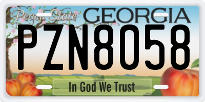 GA license plate PZN8058