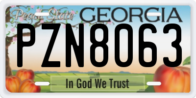 GA license plate PZN8063