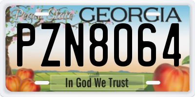 GA license plate PZN8064