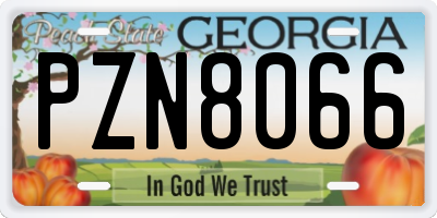 GA license plate PZN8066