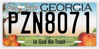 GA license plate PZN8071