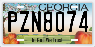 GA license plate PZN8074