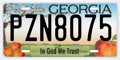 GA license plate PZN8075