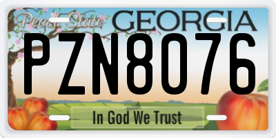 GA license plate PZN8076