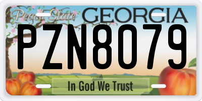 GA license plate PZN8079