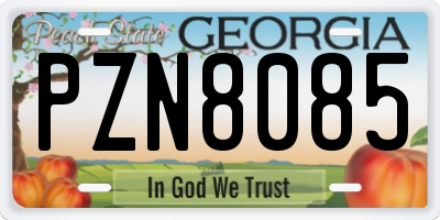 GA license plate PZN8085