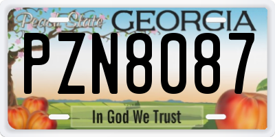 GA license plate PZN8087