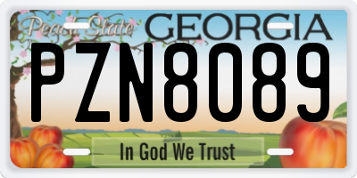 GA license plate PZN8089