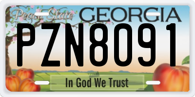 GA license plate PZN8091