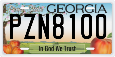 GA license plate PZN8100