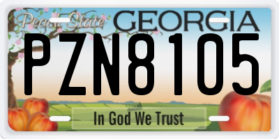 GA license plate PZN8105