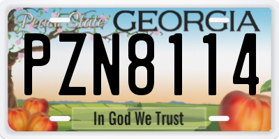 GA license plate PZN8114