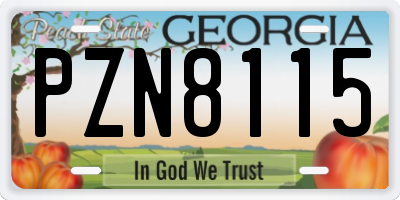 GA license plate PZN8115