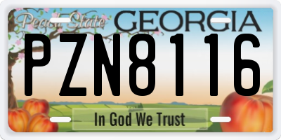 GA license plate PZN8116