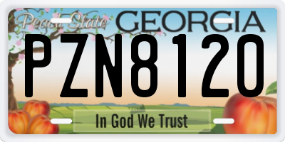 GA license plate PZN8120